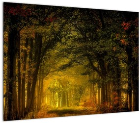 Erdő képe (70x50 cm)