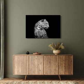 Kép - Leopárd (90x60 cm)