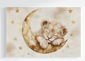 Vászonkép Canvas Ég Hold Csillagok Álom Kis Oroszlán Oroszlánkölyök 120x80
