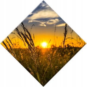 Vászonkép 42x42 Naplemente a füvek között