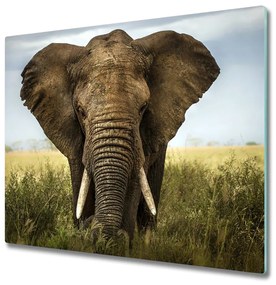 Üveg vágódeszka Elefánt a szavannán 60x52 cm
