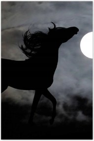 Poszterek 80x120 Éjszakai paripa