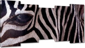 Festmények 150x80 Makro fotó zebra