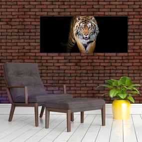 Kép - Tigris (120x50 cm)