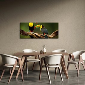 Ülő tukánok képe, Costa Rica (120x50 cm)