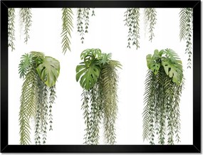 Poszter keretben 40x30 Monstera lyukas levelek