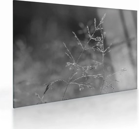Üveg kép - Vidéki rét (70x50 cm)