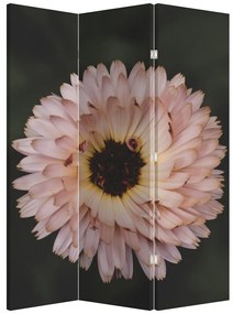 Paraván - Narancsságra virág (126x170 cm)