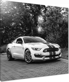 Vászonkép 80x80 Sportos Ford Mustang