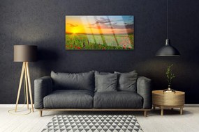 Akril üveg kép Sun mezei virágok Természet 100x50 cm