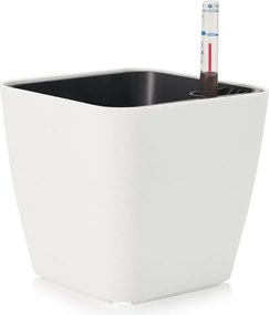 Hidroponikus önöntöző kaspó szett fedő betét mérő 15 cm