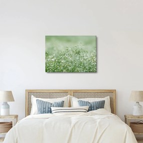 Kép - Reggeli harmat a fűszálakon (70x50 cm)