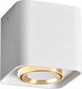 Falra szerelhető halogén lámpatest Spot GU10 fehér Xeno Sanico Goldlux