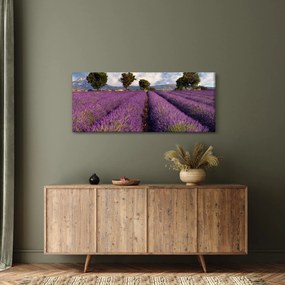 Kép - Levendula mező és hegyek (120x50 cm)