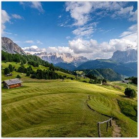 Poszterek 70x70 Bárányok a hegyi réten