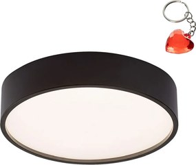 Fürdőszobai Led lámpa 19W Larcia 75011 Rabalux Ajándék