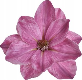 Magnólia Fej Élő Mágnólia Virágok művirág Gumi -na