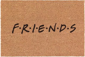 Lábtörlő Friends Kókusz barátok ajtóra 60x40cm