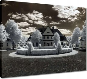 Vászonkép 50x40 Ir infravörös kép