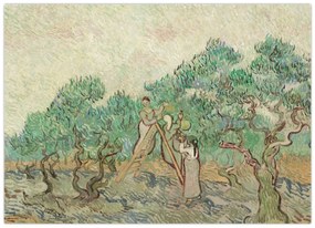 Üveg kép - Vincent van Gogh, The Olive Orchard, reprodukciók (70x50 cm)