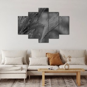 Kép - Szárított pampafű (150x105 cm)