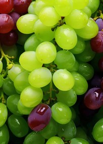 Poszter 25x35cm Szőlő kaleidoszkóp