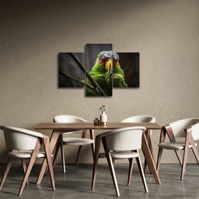 Papagáj képe (90x60 cm)