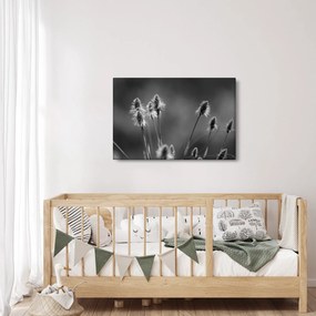 Kép - Bézs színű puha fű N⁰2 (90x60 cm)