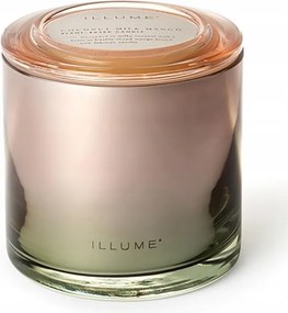 Bloomingville Illume Illatgyertya üvegben 590 g. Coconut Milk Mango