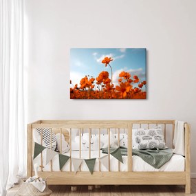 Kép - Réti virágok (90x60 cm)