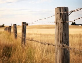 Poszter 65x50cm Kerítés a mezőn