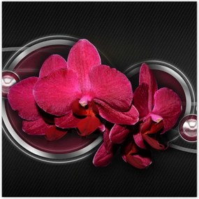 Poszterek 70x70 Orchidea golyókkal
