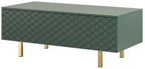 Scalia II 120 2K dohányzóasztal fiókkal - matt sötétzöld / arany lábak