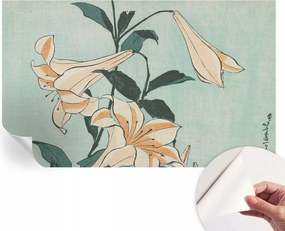 Dekoratív Öntapadós Tapéta Divatos Minták Finom liliomok 416x254 cm
