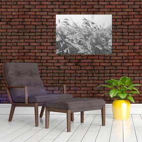 Üveg kép - Fű a szélben (70x50 cm)