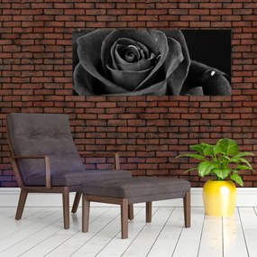 Kép - Bíborvörös rózsa (120x50 cm)