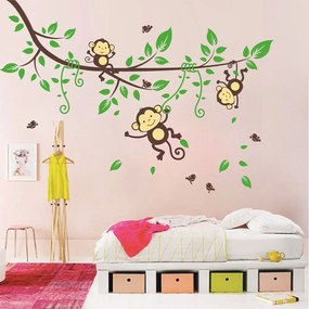 Monkeys on Tree falmatrica - Ambiance