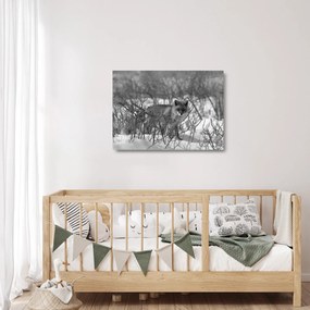 Üveg kép - Róka télen (70x50 cm)