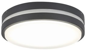 Rabalux 8848 - LED kültéri mennyezeti lámpa HAMBURG LED/12W/230V IP44