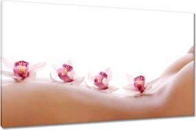 Képek 120x70 Pihenés a SPA-ban Orchideák