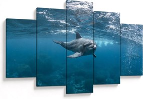 Kép - Delfin a felszín alatt (150x105 cm)