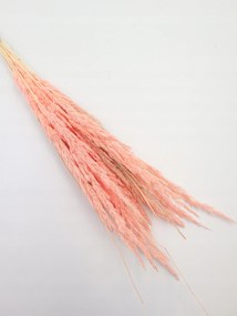 Szárított erdei fű Rózsaszín vázába, száraz virágok, boho fű, 20 darab