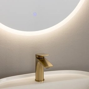 Brilagi - LED fürdőszobai tükör BERNATE LED/19W/230V Ø 60 cm IP44 CRI 90, dimmelhető + CCT