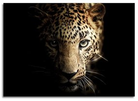 Üveg kép 70x100 cm Leopard - Styler