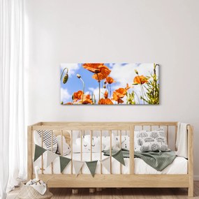 Pipacsok képe (120x50 cm)