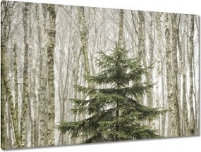 Festmények 120x80 Fa Fák Kilátás