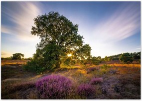 Poszterek 100x70 Tájkép Látvány