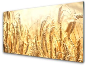 Akril üveg kép Kalászokat mező természetét 120x60 cm
