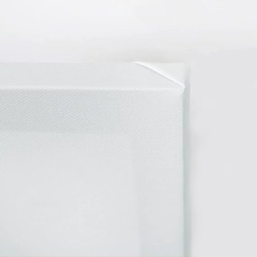 Gario Vászonkép Fehér festett virágok Méret: 30 x 90 cm
