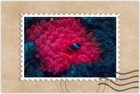 Poszterek 120x80 Vad természet a tengerben